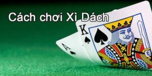 Xì dách Online: Trải nghiệm cảm giác cờ bạc mới và hấp dẫn